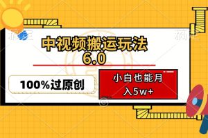 (12838期)中视频搬运玩法6.0,利用软件双重去重,100%过原创,小白也能月入5w+
