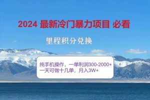 (12856期)2024惊爆冷门暴利!出行高峰来袭,里程积分,高爆发期,一单300+—2000…