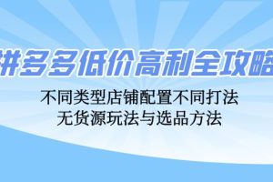 (12897期)拼多多低价高利全攻略:不同类型店铺配置不同打法,无货源玩法与选品方法