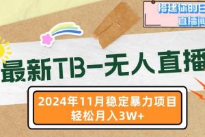 (13243期)最新TB-无人直播 11月最新,打造你的日不落直播间,轻松月入3W+