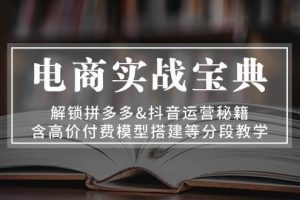 (13195期)电商实战宝典 解锁拼多多&抖音运营秘籍 含高价付费模型搭建等分段教学