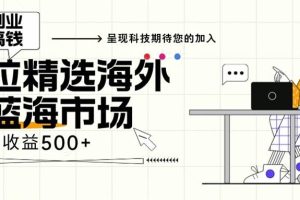 (13191期)海外全新空白市场,小白也可轻松上手,年底最后红利