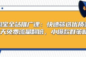 (13184期)淘宝全站推广课:快速筛选优质款,7天免费流量翻倍,小爆款群策略
