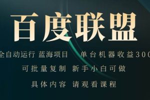 (13181期)百度联盟自动运行 运行稳定 单机300+