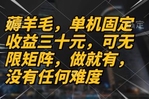 (13162期)薅羊毛项目,单机三十元,做就有,可无限矩阵 无任何难度