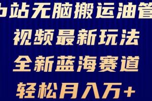 (13155期)B站无脑搬运油管视频最新玩法,轻松月入过万,小白轻松上手,全新蓝海赛道