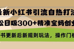 (13145期)最新小红书引流自热打法,轻松日吸300+精准宝妈创业粉,小红书更新后新…