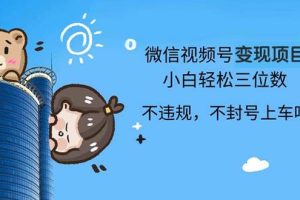 (13115期)2024最新微信视频号变现项目,小白轻松月入四位数