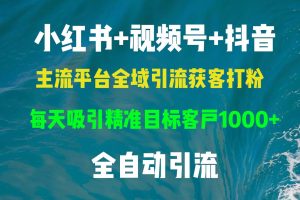 (13104期)小红书,视频号,抖音主流平台全域引流获客打粉,每天吸引精准目标客户…