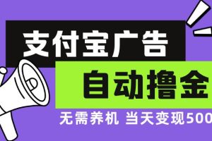 (13101期)支付宝广告全自动撸金,无需养机,当天落地500+