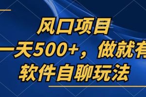 (13087期)一天500+,只要做就有,软件自聊玩法