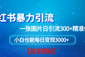 (13935期)小红书暴力引流法,一张图片日引 300+精准创业粉,每日稳定变现 3000+【揭秘】