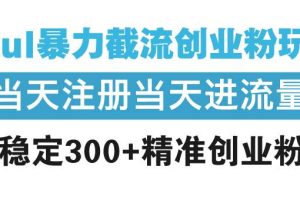 (13935期)Soul暴力截流创业粉玩法,当天注册当天进流量,日稳定300+精准创业粉丝