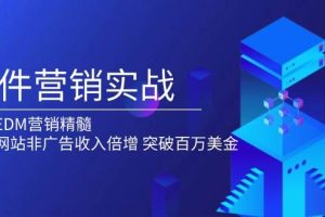 (13954期)邮件营销实战,掌握EDM营销精髓,助力网站非广告收入倍增,突破百万美金