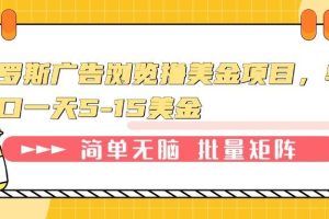 (13929期)俄罗斯广告浏览撸美金项目,单窗口一天5-15美金