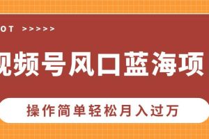 (13945期)视频号风口蓝海项目,中老年人的流量密码,操作简单轻松月入过万