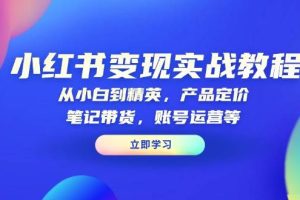(13923期)小红书变现实战教程:从小白到精英,产品定价,笔记带货,账号运营等