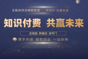 (13944期)2025年 如何通过 “知识付费” 卖项目月入十万、年入百万,布局2025与…