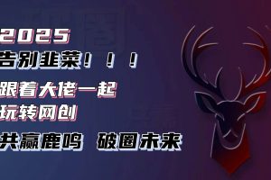 (13896期)告别韭菜!2025知识付费风口项目,小白也能闭眼操作!