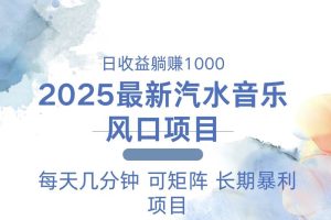 (13894期)2025最新汽水音乐躺赚项目 每天几分钟 日入1000+