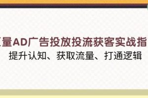 (13872期)巨量AD广告投放投流获客实战指南,提升认知、获取流量、打通逻辑