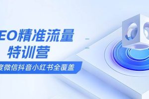 (13851期)SEO精准流量特训营,百度微信抖音小红书全覆盖,带你搞懂搜索优化核心技巧