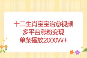 (13837期)十二生肖宝宝治愈视频,多平台涨粉变现,单条播放2000W+