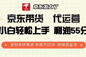 (13833期)京东带货 代运营 利润55分 告别年终焦虑 年底不打烊 持续现金流