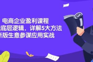 (13815期)电商企业盈利课程:解读底层逻辑,详解5大方法论,新版生意参谋应用实战