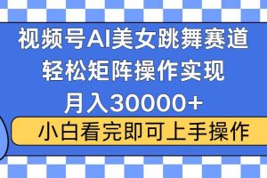 (13813期)视频号蓝海赛道玩法,当天起号,拉爆流量收益,小白也能轻松月入30000+