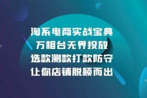 （13701期）淘系电商实战宝典：万相台无界投放，选款测款打款防守，让你店铺脱颖而出