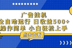 (13668期)广告挂机,知识分享,全自动500+项目