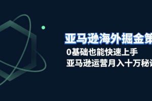 (13644期)亚马逊海外掘金策略,0基础也能快速上手,亚马逊运营月入十万秘诀