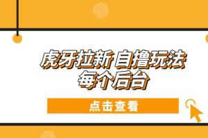 (13631期)虎牙拉新自撸玩法 每个后台每天100+