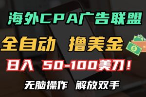 (13593期)海外CPA全自动撸美金, 日入100+美金, 无脑操作,解放双手