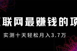 (13591期)年前风口最大化,长久可以做!