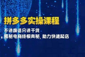 (13577期)拼多多实操课程:不讲废话只讲干货, 揭秘电商终极奥秘,助力快速起店