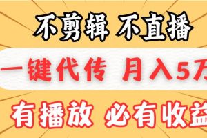 (13555期)不剪辑不直播,一键代发,月入5万懒人必备,我出视频你来发