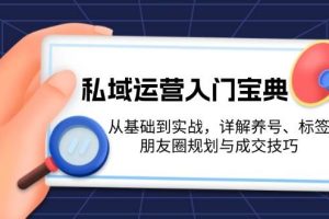 (13519期)私域运营入门宝典:从基础到实战,详解养号、标签、朋友圈规划与成交技巧