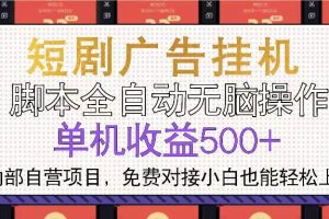(13540期)短剧广告全自动挂机 单机单日500+小白轻松上手