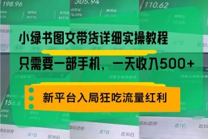 (13509期)小绿书图文带货详细实操教程,只需要一部手机,一天收入500+,轻松变现
