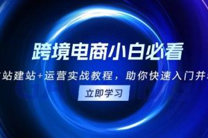 (13502期)跨境电商小白必看!独立站建站+运营实战教程,助你快速入门并精通