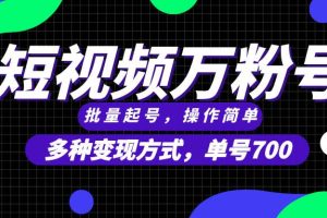 (13497期)短视频快速涨粉,批量起号,单号700,多种变现途径,可无限扩大来做。