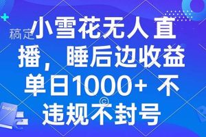 (13491期)小雪花无人直播 睡后收益单日1000+ 零粉丝新号开播 不违规 看完就会