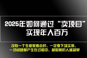 (13468期)2025年如何通过“卖项目”实现年入百万,做网赚必看!!