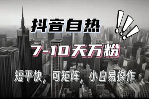 (13454期)抖音自热涨粉3天千粉,7天万粉,操作简单,轻松上手,可矩阵放大