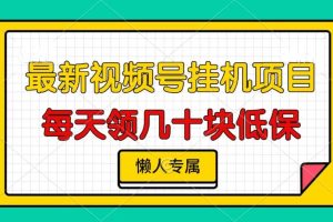 (13452期)视频号挂机项目,每天几十块低保,懒人专属