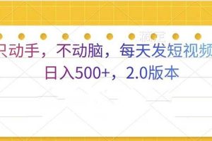 (13446期)只动手,不动脑,每天发发视频日入500+ 2.0版本