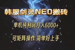 (13435期)韩服剑灵NEO搬砖攻略,单机纯利润月入6000+ 可矩阵操作,简单好上手。