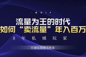 (13433期)未来如何通过“卖流量”年入百万,跨越一切周期绝对蓝海项目